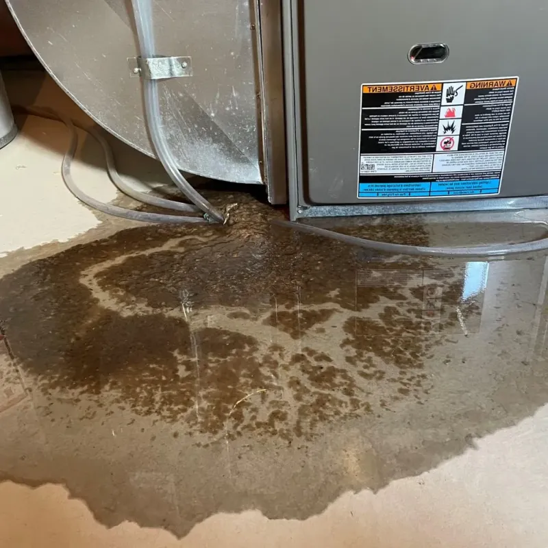 Pipe Burst and Leak Restoration in Westerville, OH